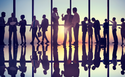 personne travaillant dans un bureau sur les questions transformation durable