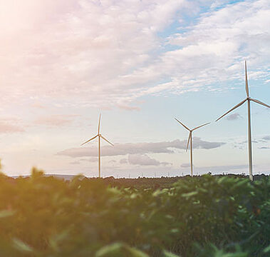 Photo d'un champ avec des éoliennes symbolisant le Master Développement Durable et Organisations en formation continue de Dauphine Executive Education de l'Université Paris Dauphine-PSL