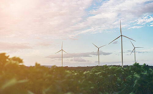 Photo d'un champ avec des éoliennes symbolisant le Master Développement Durable et Organisations en formation continue de Dauphine Executive Education de l'Université Paris Dauphine-PSL