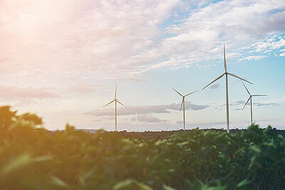 Photo d'un champ avec des éoliennes symbolisant le Master Développement Durable et Organisations en formation continue de Dauphine Executive Education de l'Université Paris Dauphine-PSL